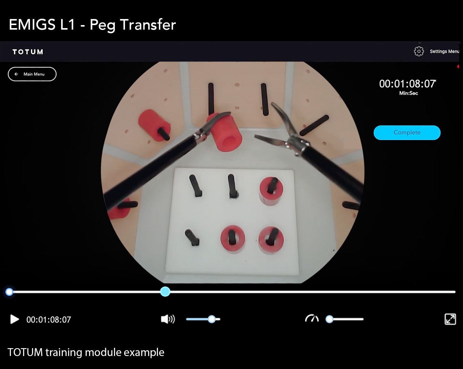 EMIGS L1 - Peg Transfer