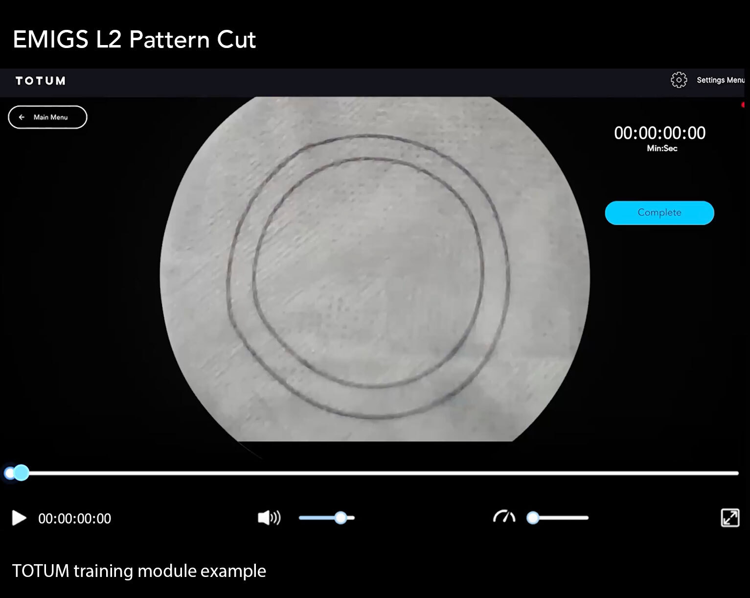 EMIGS L2 - Circle Cutting