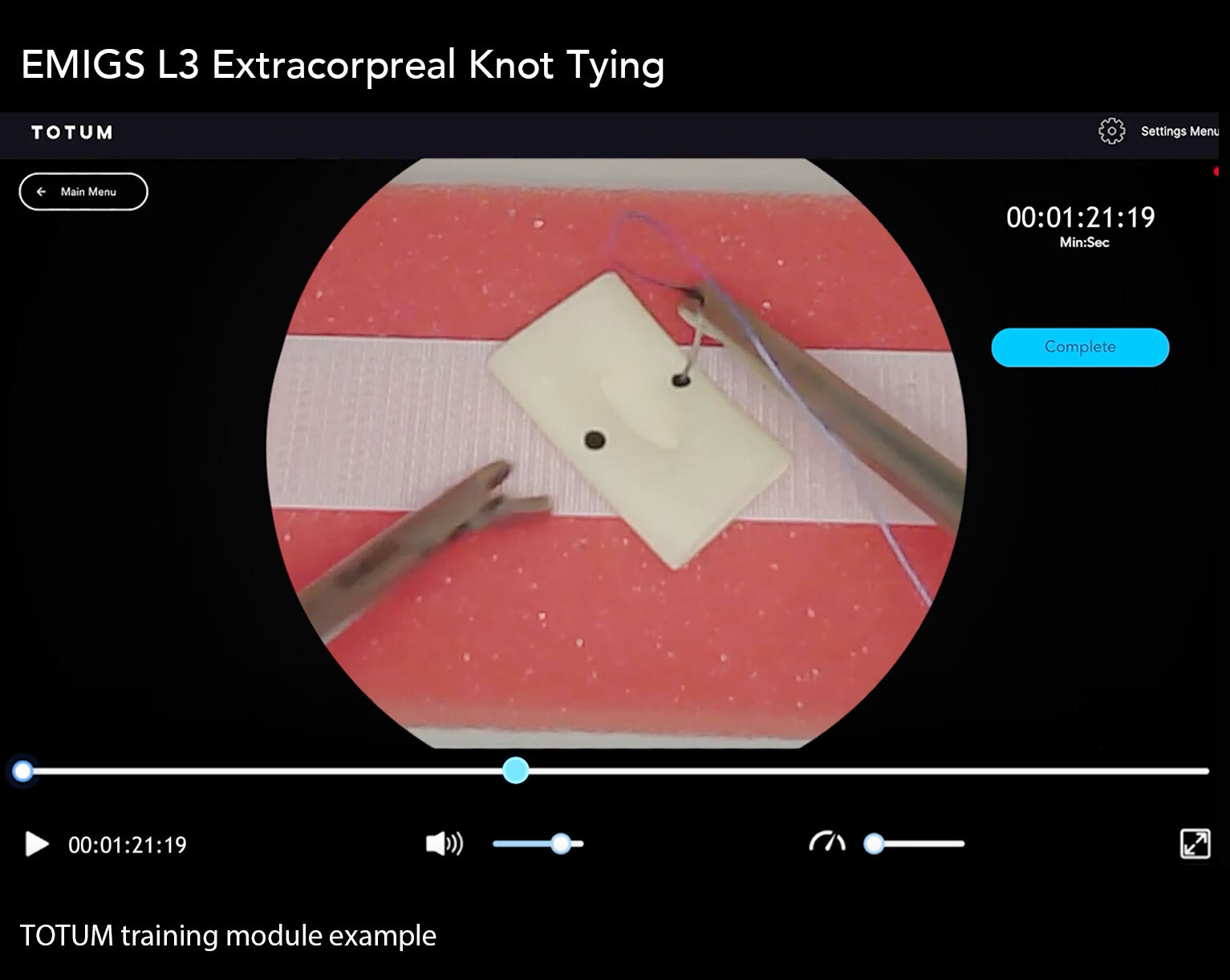 EMIGS L3 - Extracorporeal Knot Tying