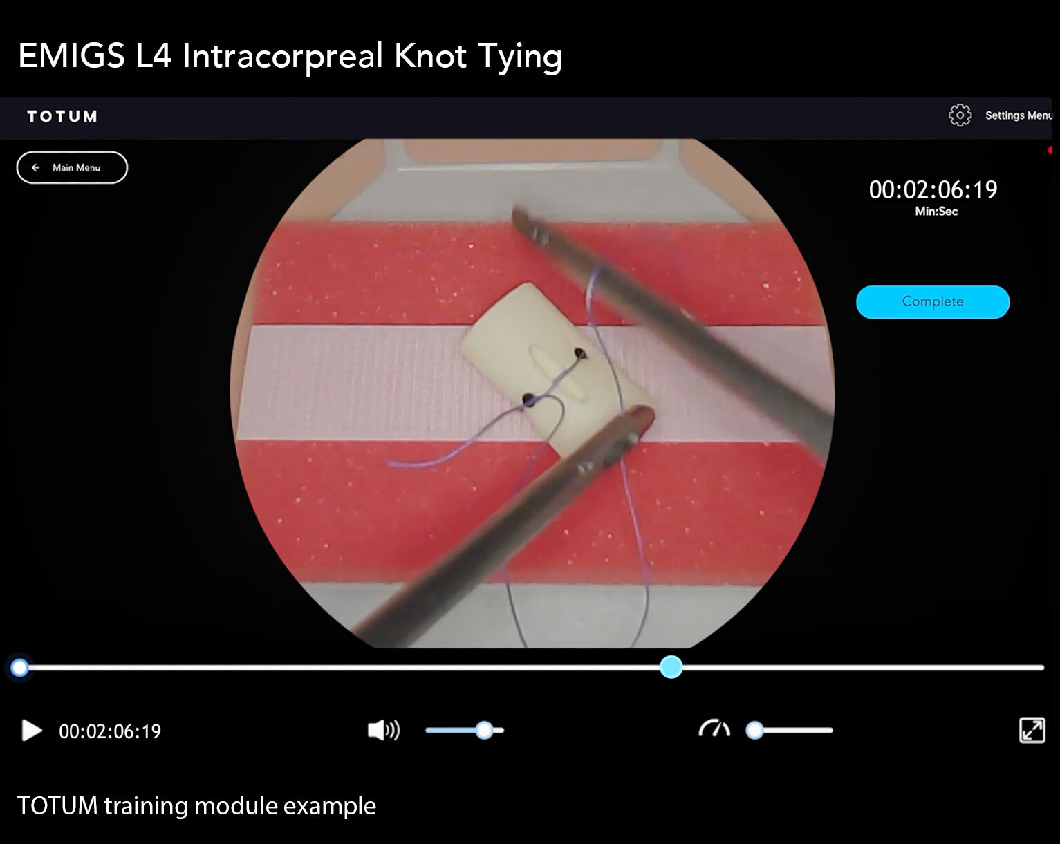 EMIGS L4 - Intracorporeal Knot Tying