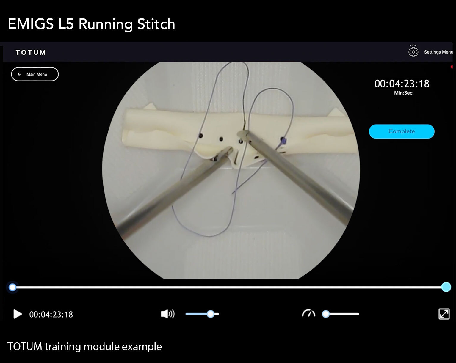 EMIGS L5 - Running Stitch